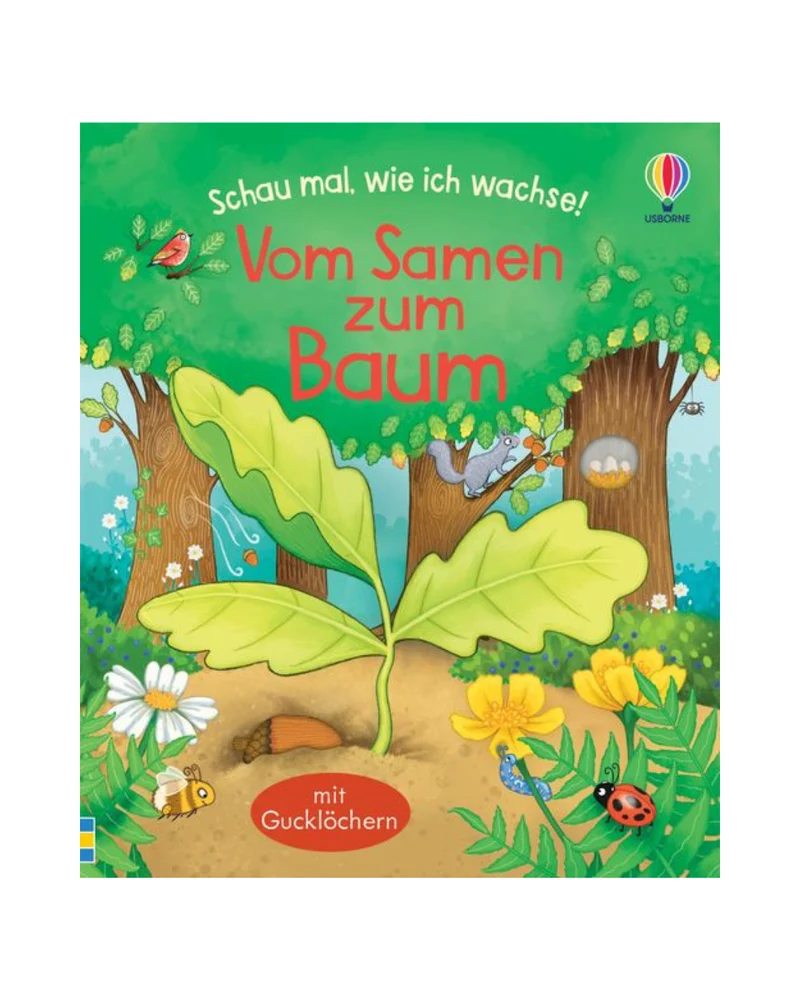 Vom Samen zum Baum | Ab 3 Jahren