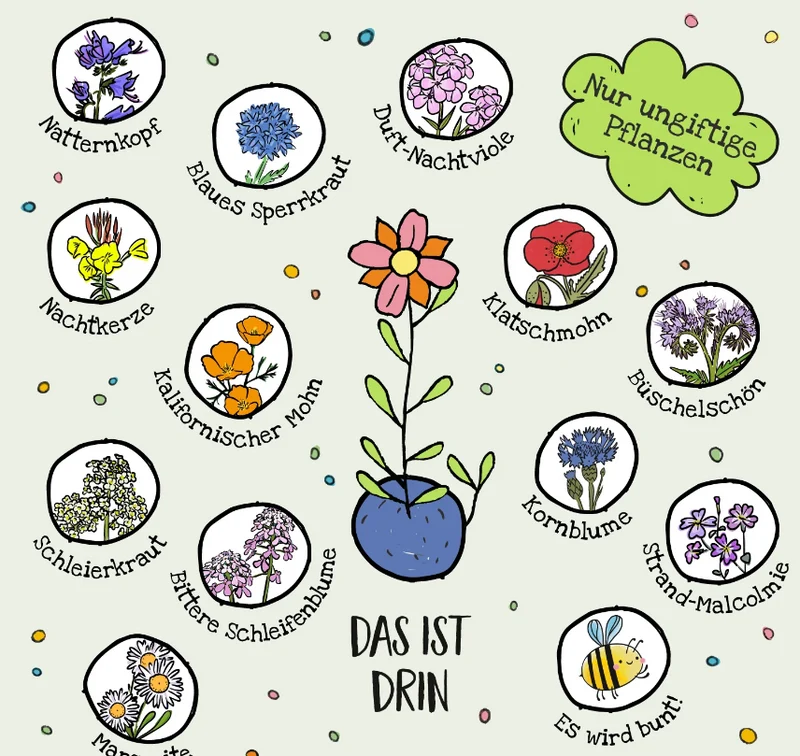 Saatgut | Blumenmurmeln in Dose 'Bunte Seedbombs' 25 Stück