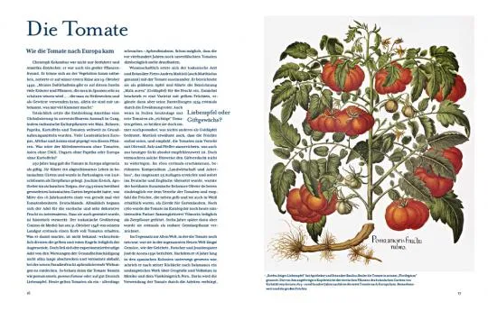 Tomatenlust | Die Geheimnisse der Tomatenpioniere
