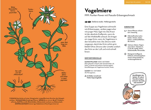 Wilde Pflanzen essen | Der etwas andere Naturführer