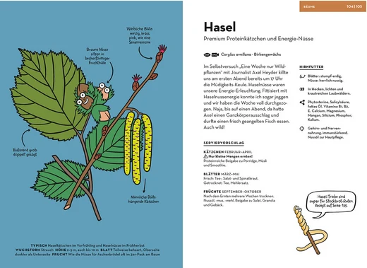 Wilde Pflanzen essen | Der etwas andere Naturführer