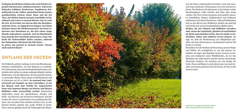 Meine lebendige Hecke | Schutz und Nahrung für viele Tiere