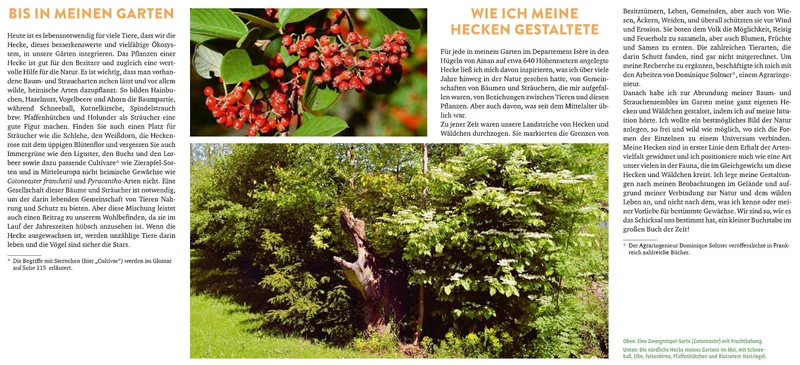 Meine lebendige Hecke | Schutz und Nahrung für viele Tiere
