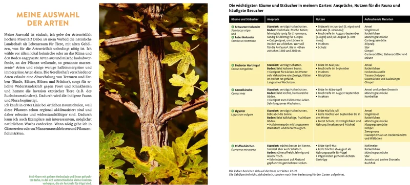 Meine lebendige Hecke | Schutz und Nahrung für viele Tiere