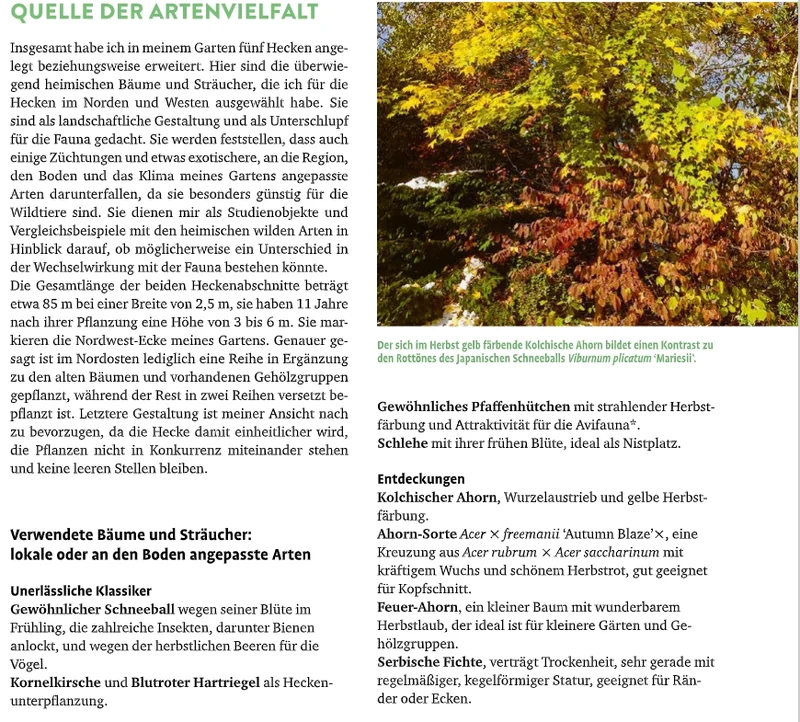 Meine lebendige Hecke | Schutz und Nahrung für viele Tiere