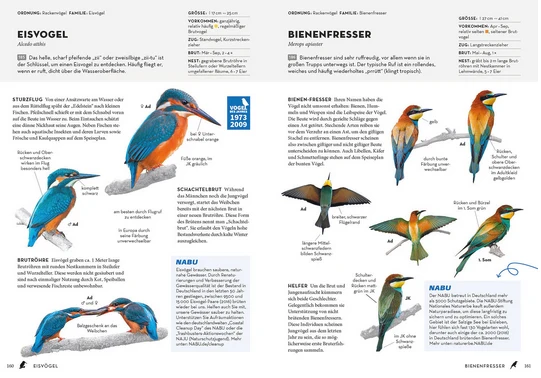 Das NABU-Vogelbuch
