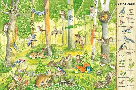 Mein großes Natur-Wimmelbuch | Ab 3 Jahren