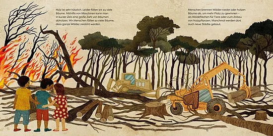 Unsere Welt: Wälder | Sachbilderbuch ab 4 Jahren