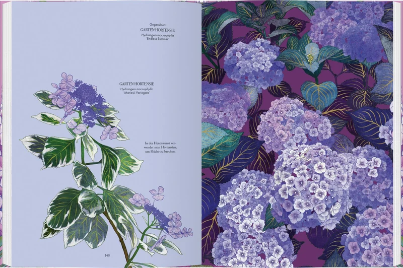 Blüten | Die wunderbare Welt der Blumen