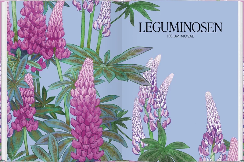 Blüten | Die wunderbare Welt der Blumen