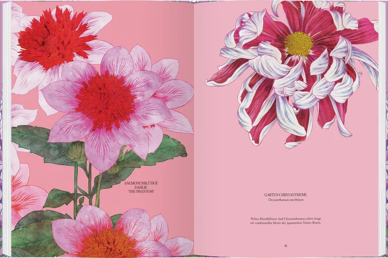Blüten | Die wunderbare Welt der Blumen