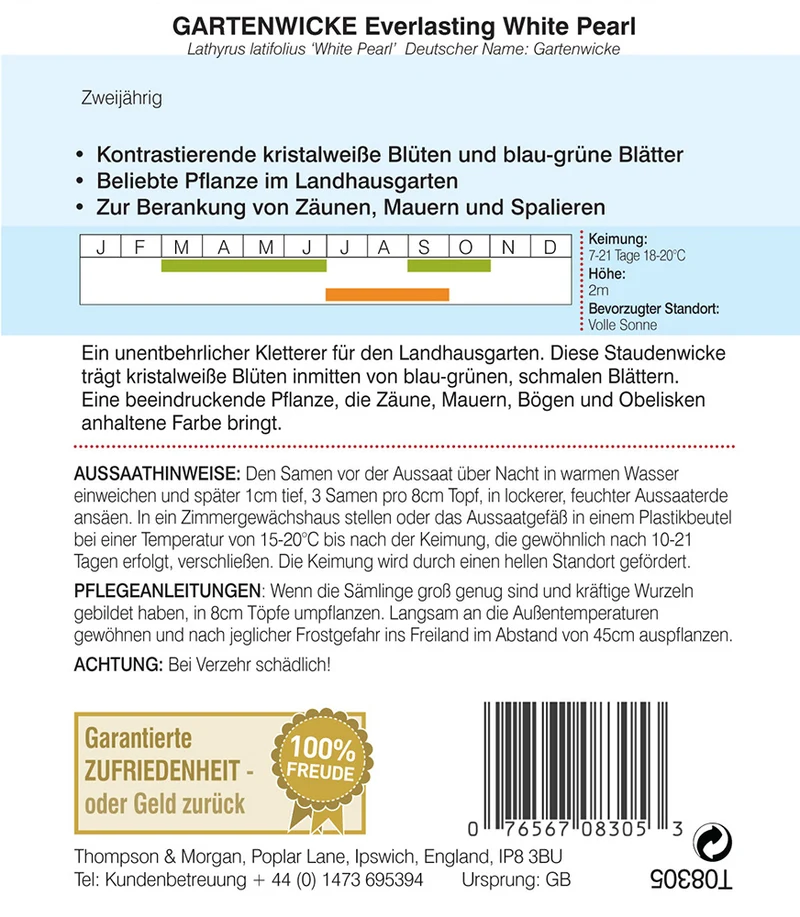 Gartenwicke Everlasting White Pearl