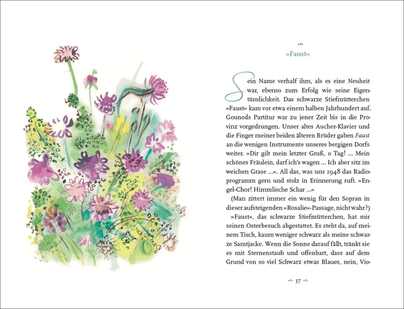 Colette | Mein Blumenalbum