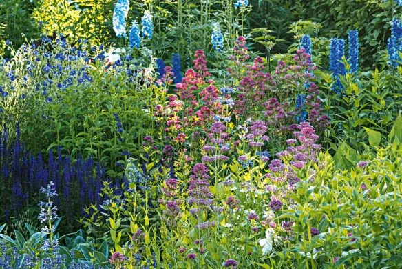 Stauden im Garten | Für Gartenprofis und die, die es noch werden wollen