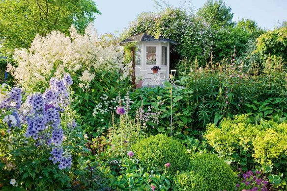 Stauden im Garten | Für Gartenprofis und die, die es noch werden wollen