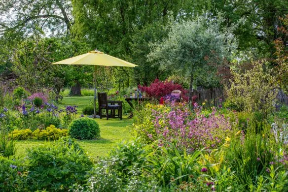 Stauden im Garten | Für Gartenprofis und die, die es noch werden wollen