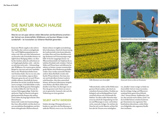 Wilde Kübel | Unkompliziert, naturnah, insektenfreundlich