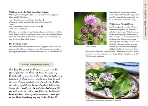 Garden Guide Wildkrautampel | Vom gelassenen Umgang mit Wildwuchs im Garten