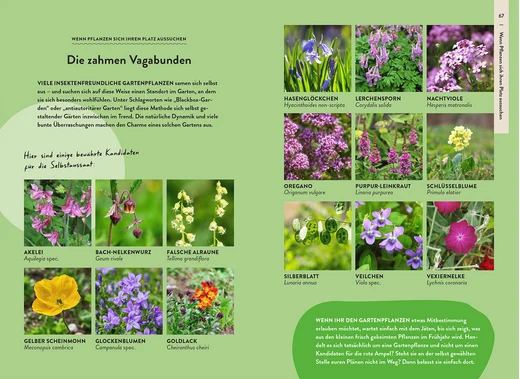 Garden Guide Wildkrautampel | Vom gelassenen Umgang mit Wildwuchs im Garten