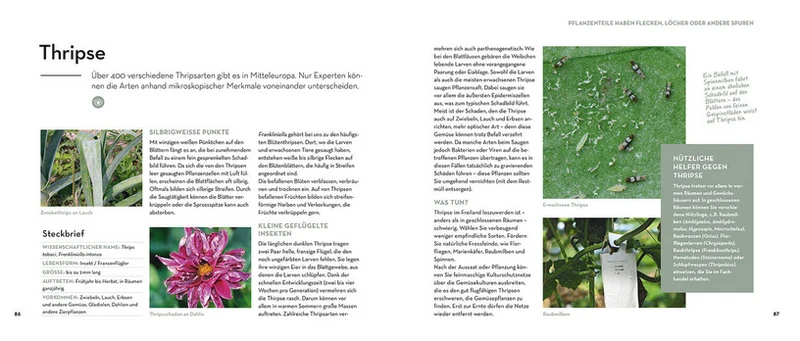 Bist du noch zu retten? | Pflanzenkrankheiten, schädliche Insekten & Pflegefehler