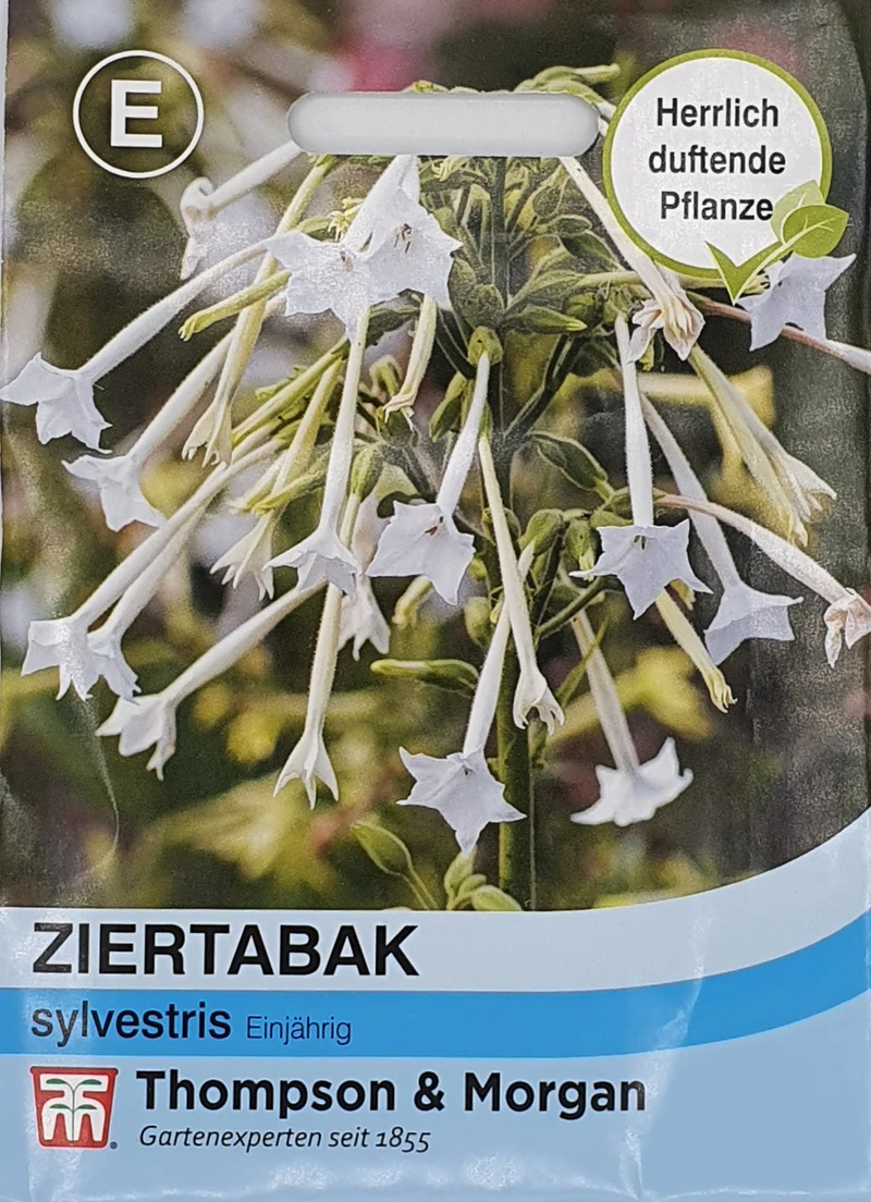 Thompson & Morgan | Ziertabak sylvestris