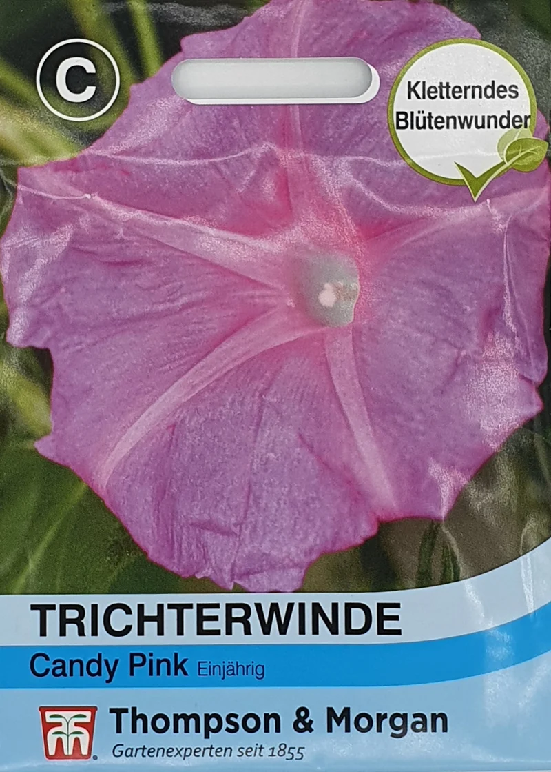 Trichterwinde Candy Pink