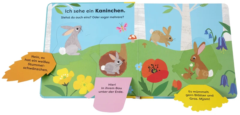 Da! Ein Fuchs | Natur-Entdeckerbuch ab 18 Monaten