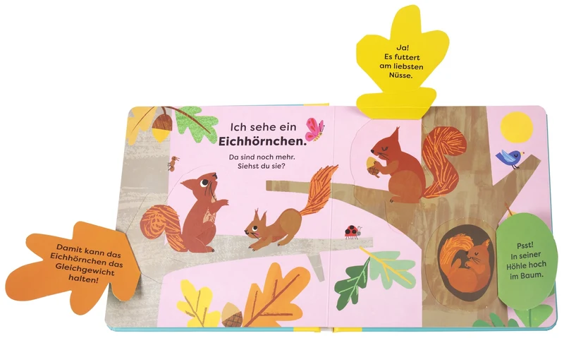Da! Ein Fuchs | Natur-Entdeckerbuch ab 18 Monaten