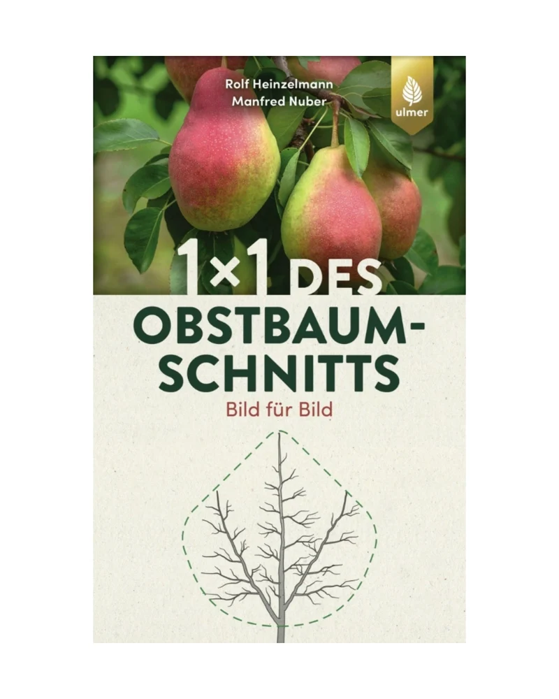 1x1 des Obstbaumschnitts | Für jede Gehölzform das passende Vorgehen
