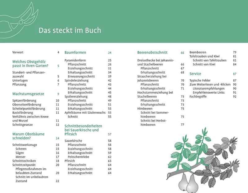 1x1 des Obstbaumschnitts | Für jede Gehölzform das passende Vorgehen