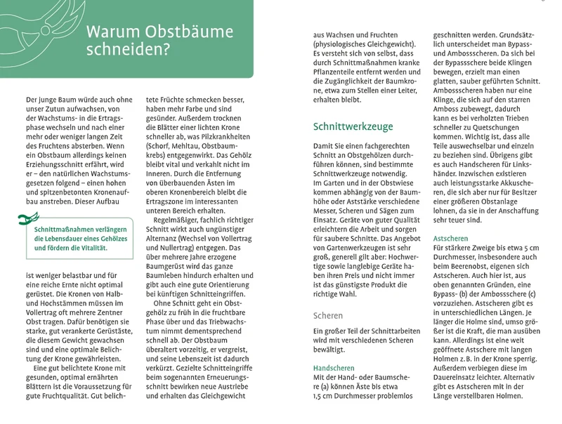 1x1 des Obstbaumschnitts | Für jede Gehölzform das passende Vorgehen