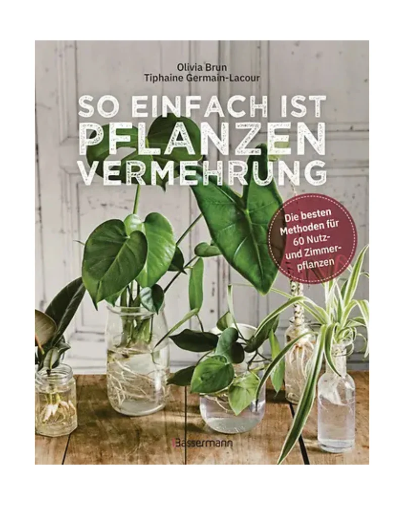 So einfach ist Pflanzenvermehrung | Die besten Methoden für 60 Nutz- und Zimmerpflanzen