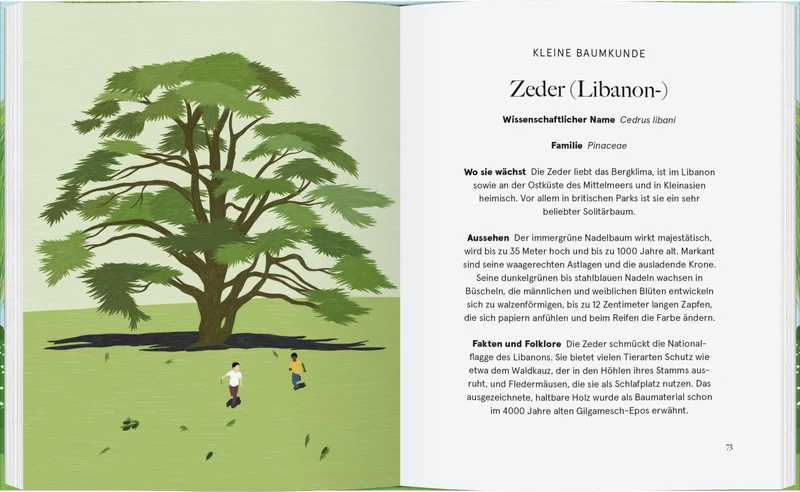Be More Tree | Wenn Bäume sprechen könnten