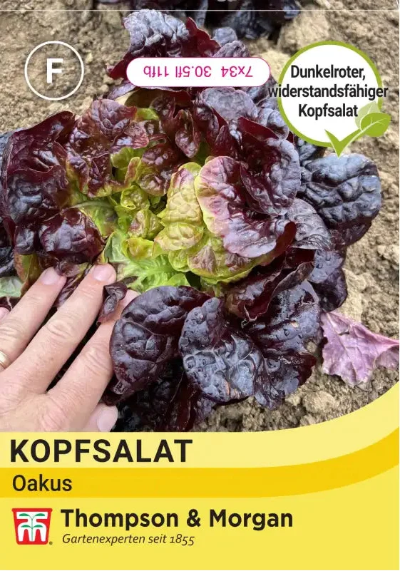 Thompson & Morgan | Kopfsalat 'Oakus'