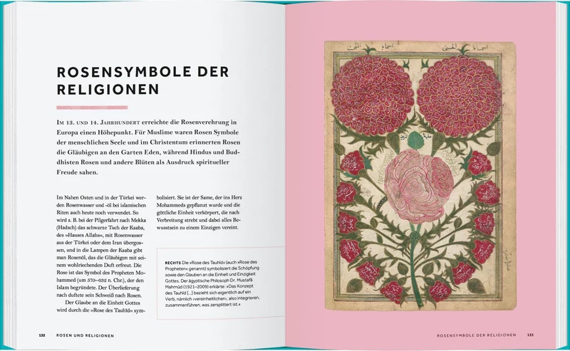 Rosen | Die Geschichte der Rosen