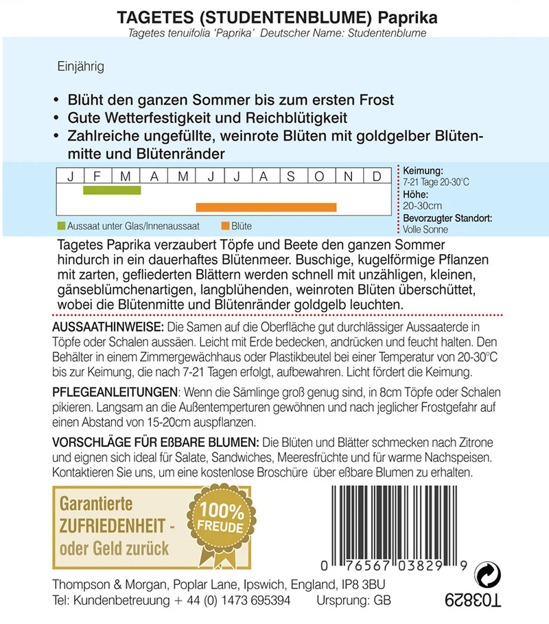 Tagetes (Studentenblume) Paprika