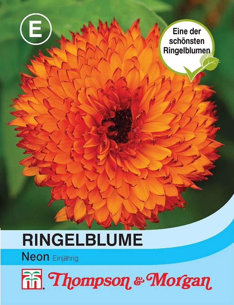 Thompson & Morgan | Ringelblume Neon