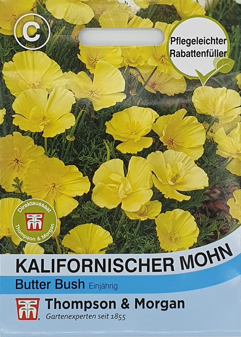 Kalifornischer Mohn Butter Bush