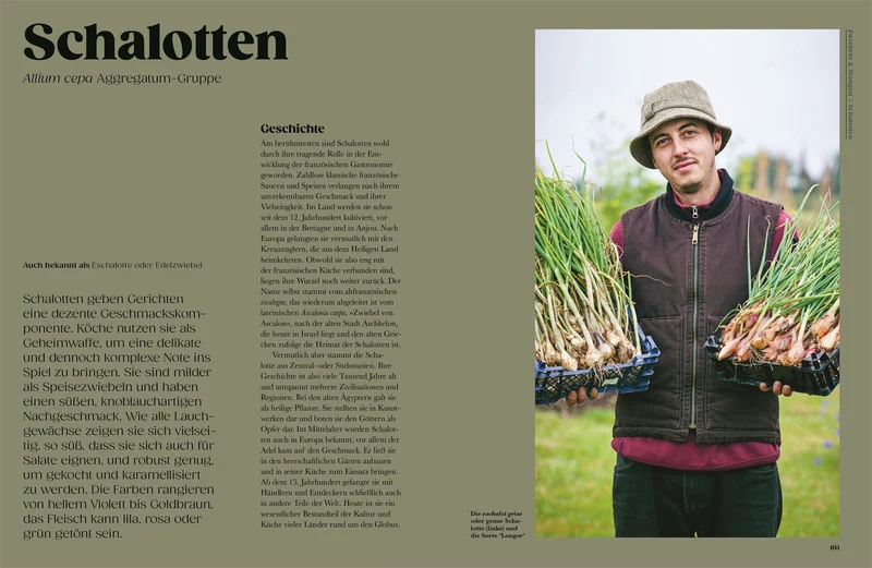 Auf der Jagd nach alten Sorten | Der ultimative Guide zu den besten alten Gemüsesorten aus aller Welt