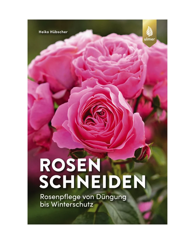 Rosen schneiden | Mit 30 Vorher-Nachher-Zeichnungen