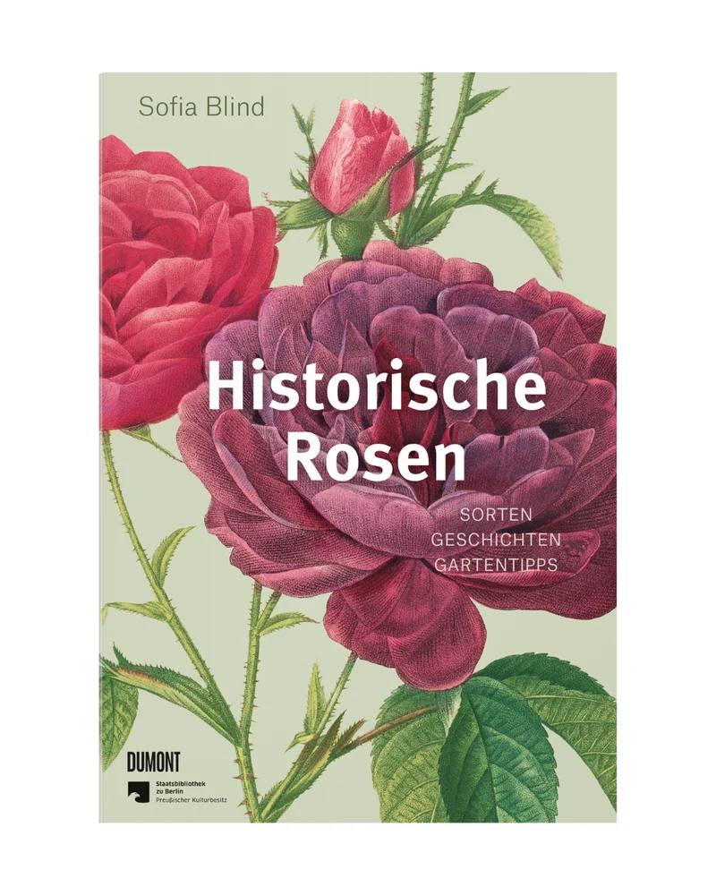 Historische Rosen | fünfzig Rosensorten mit prachtvollen historischen Illustrationen