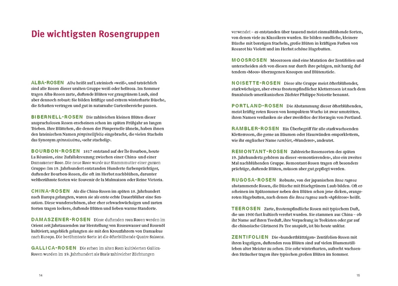 Historische Rosen | fünfzig Rosensorten mit prachtvollen historischen Illustrationen
