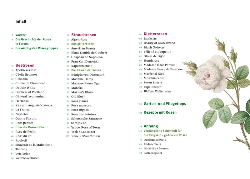 Historische Rosen | fünfzig Rosensorten mit prachtvollen historischen Illustrationen