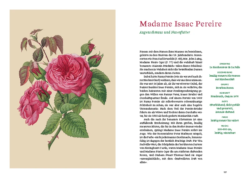 Historische Rosen | fünfzig Rosensorten mit prachtvollen historischen Illustrationen