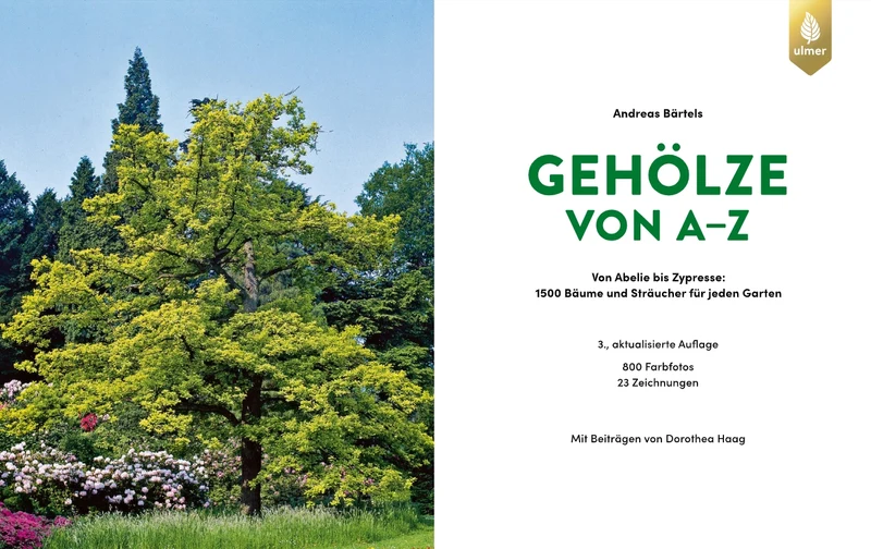 Gehölze von A-Z | Eine große Vielfalt an Bäumen und Sträuchern für den Garten