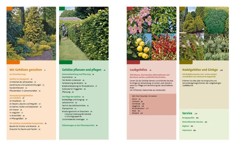 Gehölze von A-Z | Eine große Vielfalt an Bäumen und Sträuchern für den Garten
