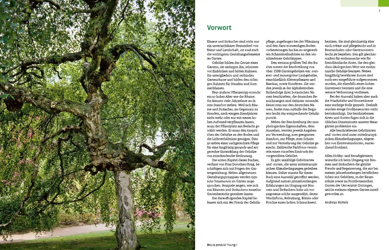 Gehölze von A-Z | Eine große Vielfalt an Bäumen und Sträuchern für den Garten