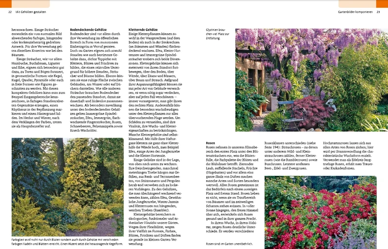 Gehölze von A-Z | Eine große Vielfalt an Bäumen und Sträuchern für den Garten