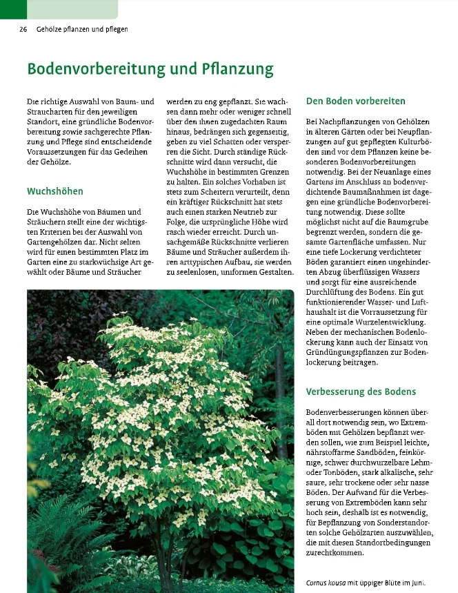 Gehölze von A-Z | Eine große Vielfalt an Bäumen und Sträuchern für den Garten