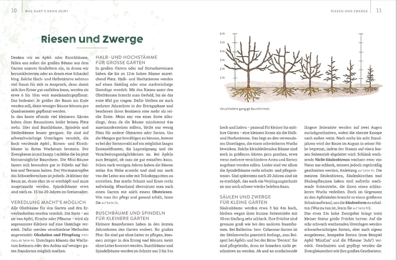 Obstgarten | Einfach machen